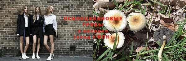 стафф Богородск