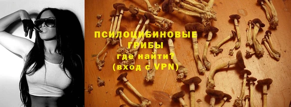 марки nbome Богданович