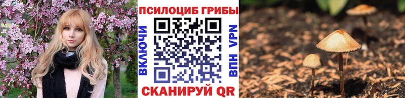 Галлюциногенные грибы Magic Shrooms Гороховец